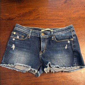 Big Star Blue Jean Shorts Distressed Frayed Hem